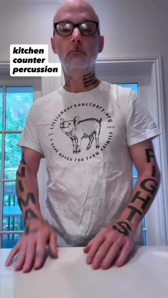 Post 4 by Little Bear Sanctuary on TikTok (video)