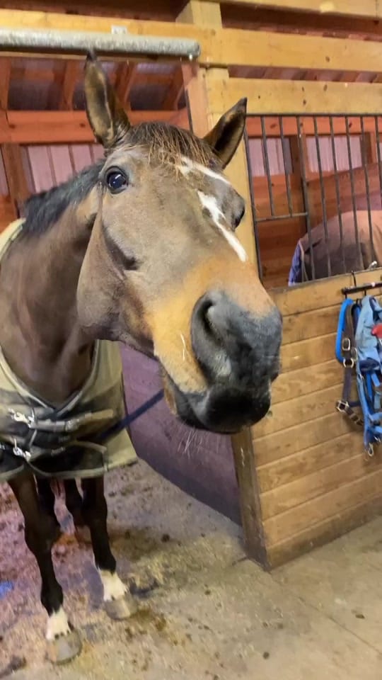 Post 3 by Kelsey G on TikTok (video)