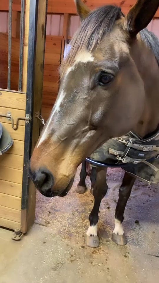 Post 4 by Kelsey G on TikTok (video)