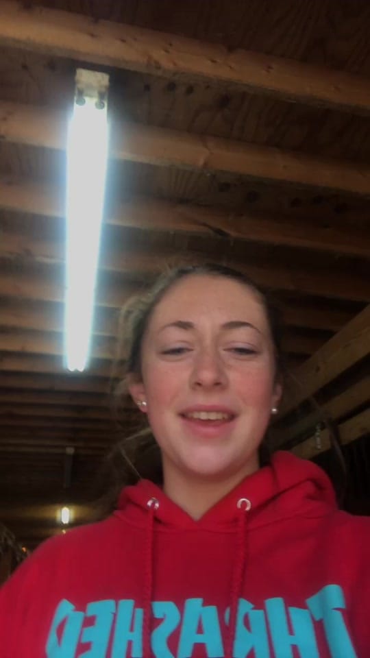 Post 9 by Kelsey G on TikTok (video)