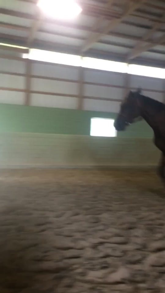 Post 5 by Kelsey G on TikTok (video)