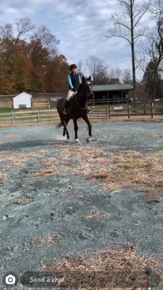 Post 8 by Kelsey G on TikTok (video)