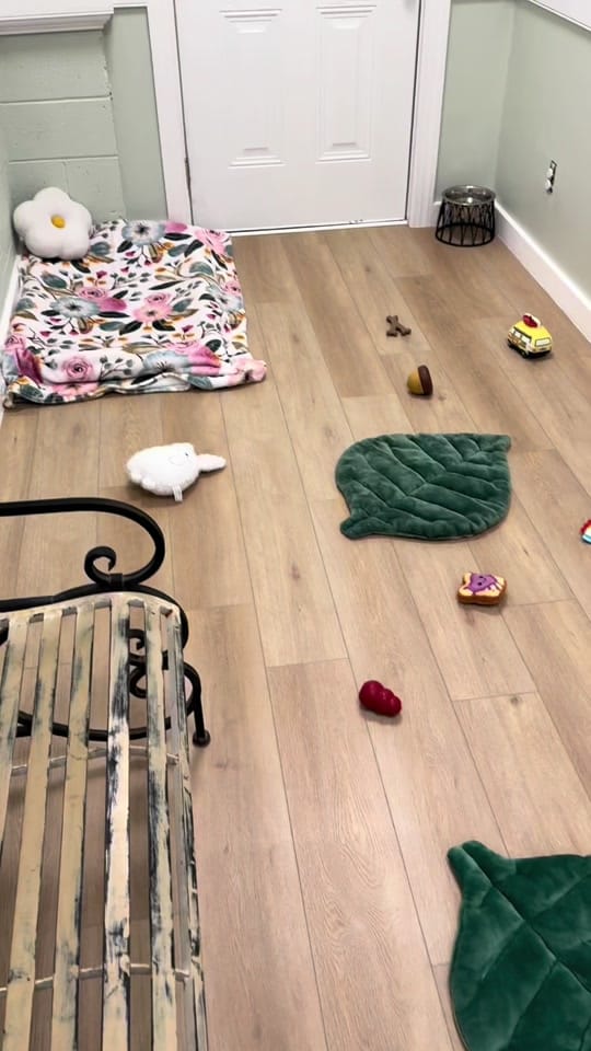 Post 3 by Hope For Life Rescue on TikTok (video)