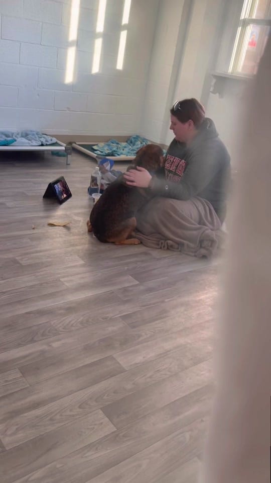 Post 10 by Hope For Life Rescue on TikTok (video)