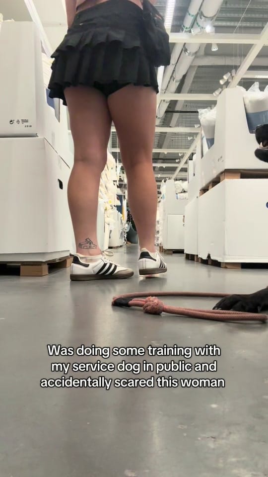 Post 6 by Emma and Moxie on TikTok (video)