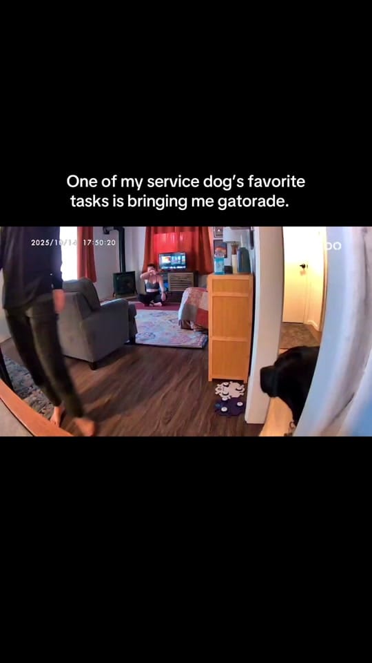 Post 7 by Emma and Moxie on TikTok (video)