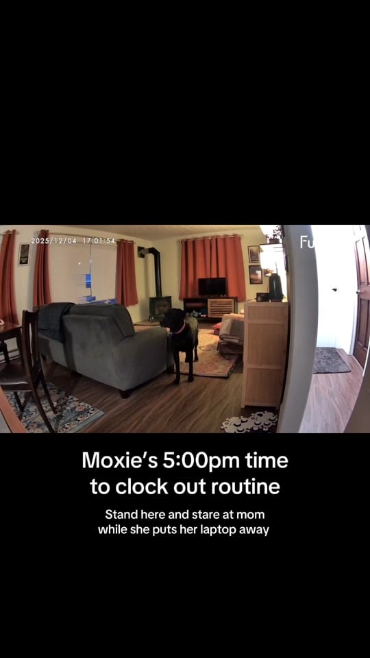 Post 3 by Emma and Moxie on TikTok (video)