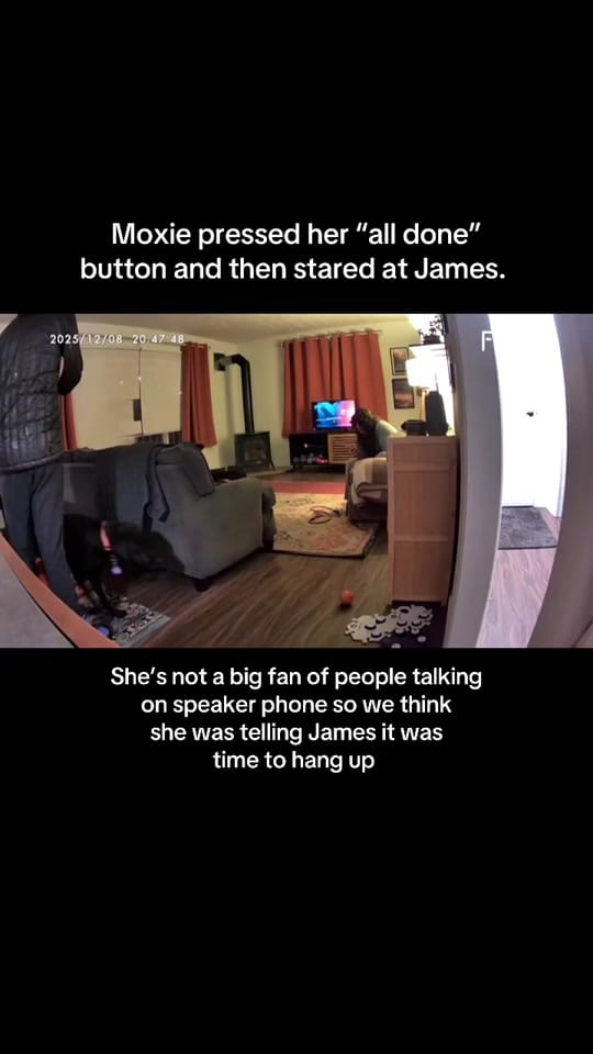 Post 2 by Emma and Moxie on TikTok (video)