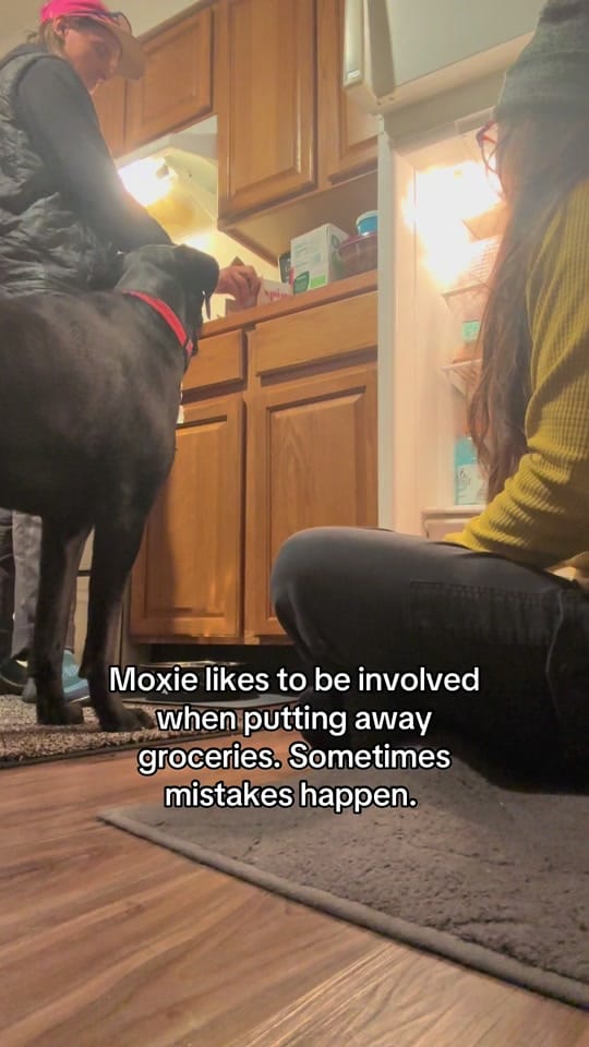 Post 8 by Emma and Moxie on TikTok (video)
