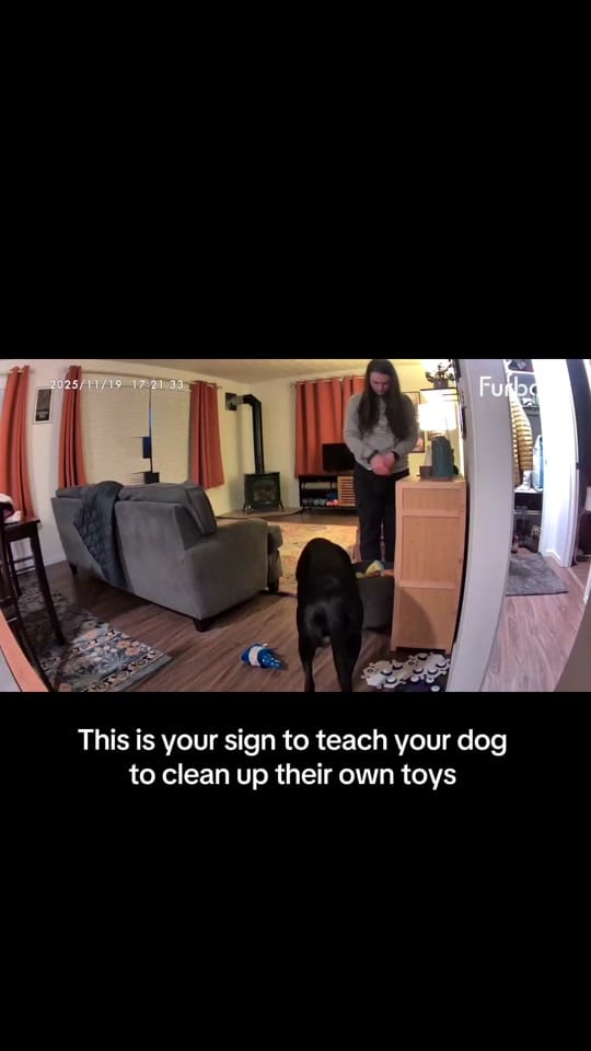 Post 4 by Emma and Moxie on TikTok (video)