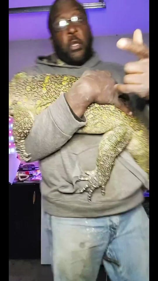 Post 9 by P Ridge Family Farm on TikTok (video)