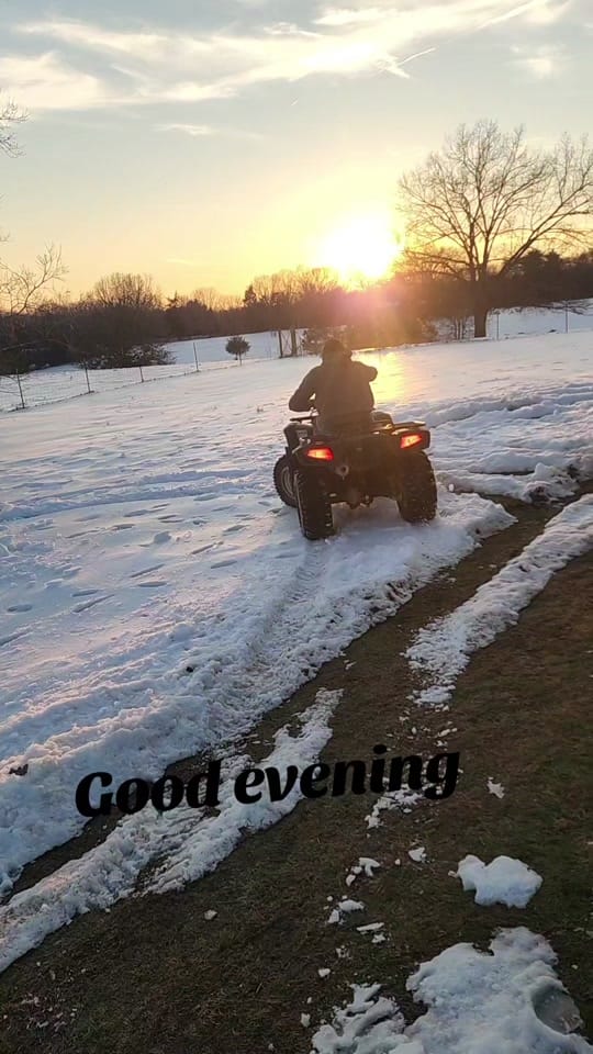 Post 7 by P Ridge Family Farm on TikTok (video)