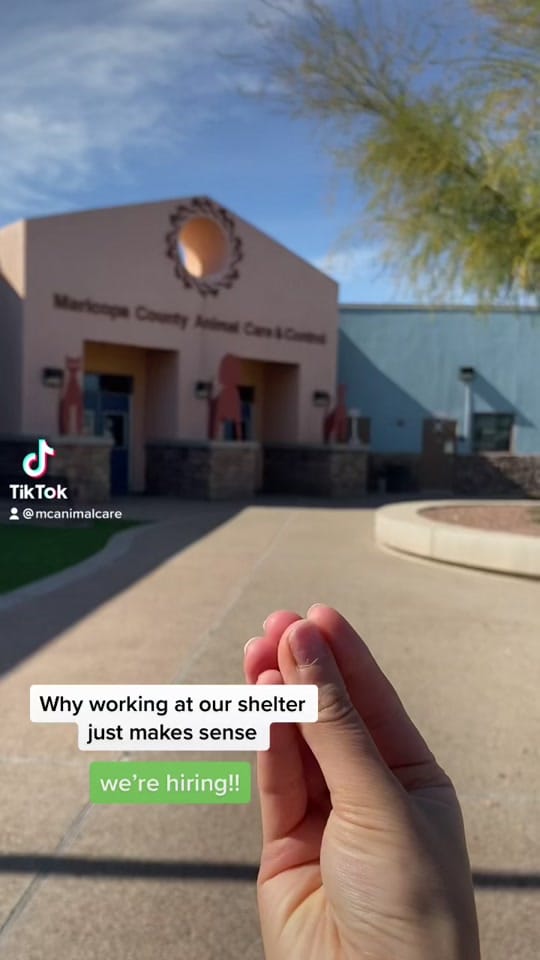 Post 10 by MaricopaPets on TikTok (video)
