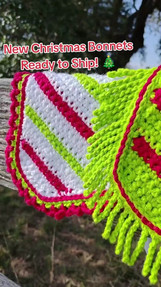 Post 3 by Padded Ponies on TikTok (video)