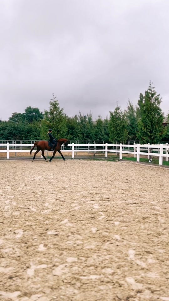 Post 6 by Nina 💫 on TikTok (video)
