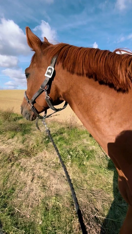 Post 2 by Nina 💫 on TikTok (video)