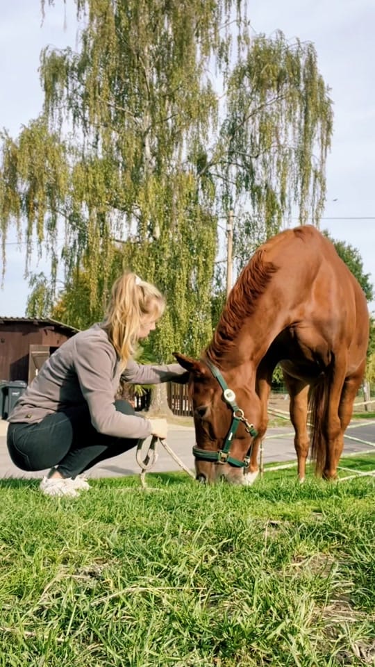 Post 1 by Nina 💫 on TikTok (video)
