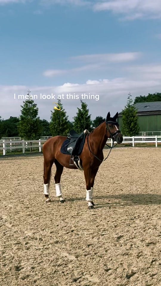 Post 8 by Nina 💫 on TikTok (video)