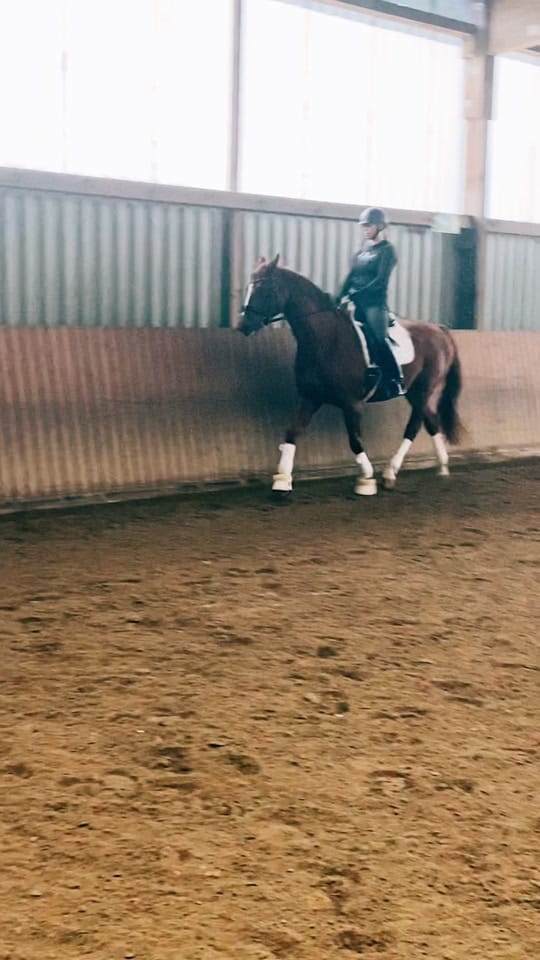 Post 4 by Nina 💫 on TikTok (video)
