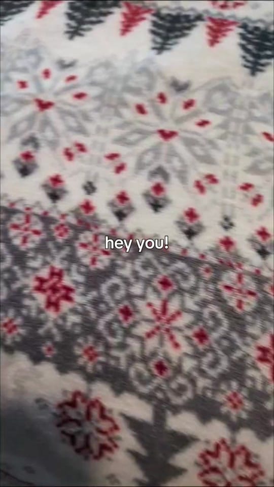 Post 2 by Pepper’s Pals Cat Rescue on TikTok (video)