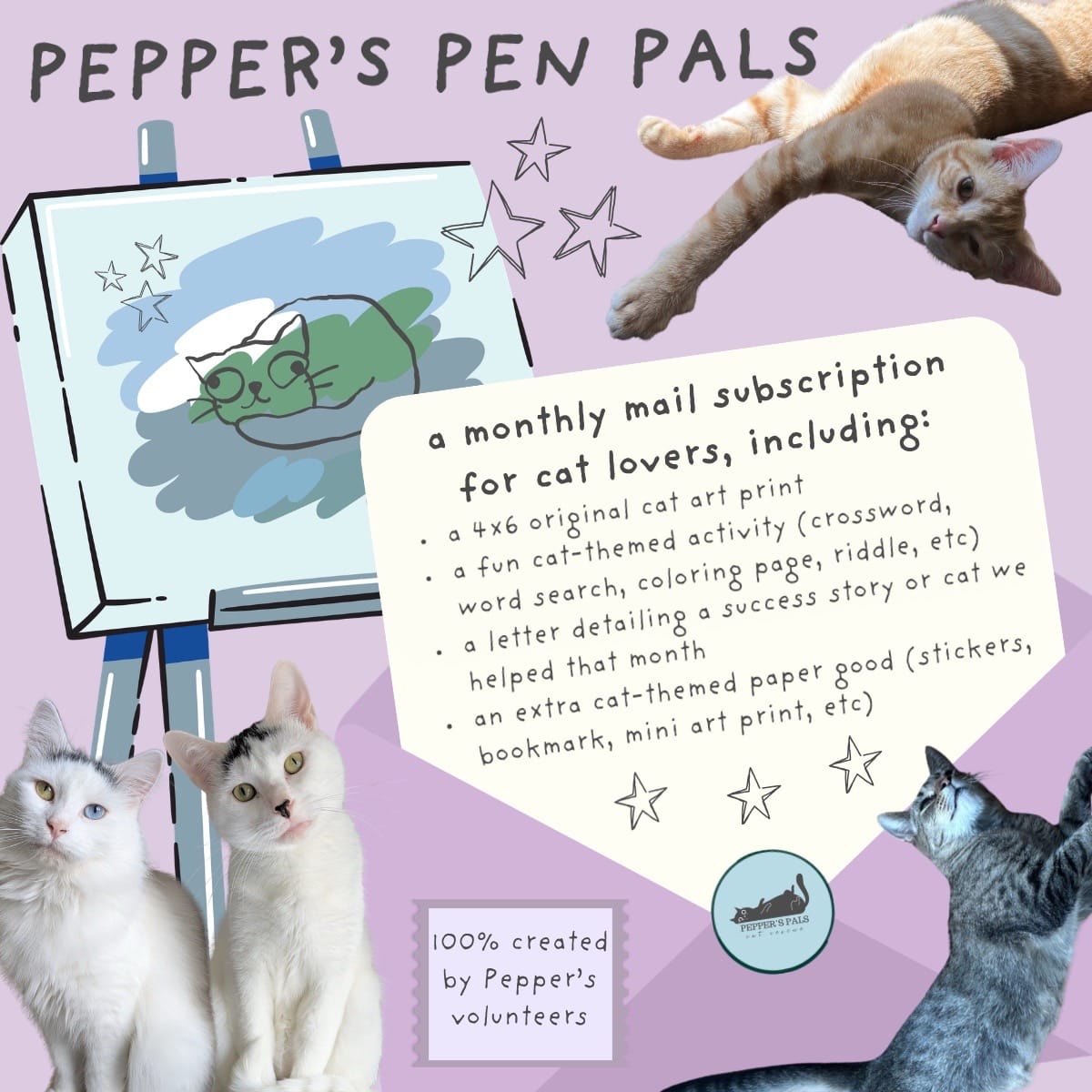 Post 10 by Pepper’s Pals Cat Rescue on TikTok (video)