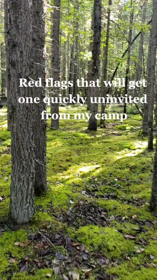 Post 10 by Jennifer Greenteeth🏴 on TikTok (video)