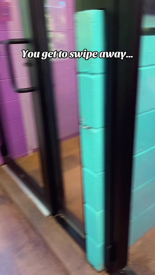 Post 9 by Hotel for Homeless Dogs 🏩 on TikTok (video)