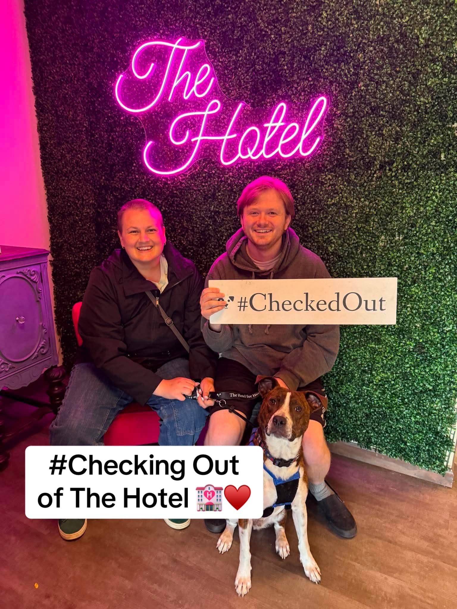 Post 5 by Hotel for Homeless Dogs 🏩 on TikTok (video)