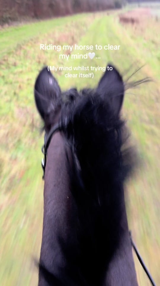 Post 1 by Georgia Devonport Eventing on TikTok (video)