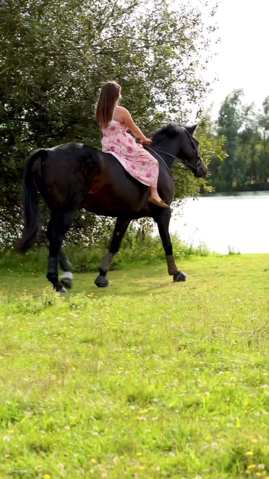 Post 4 by Georgia Devonport Eventing on TikTok (video)