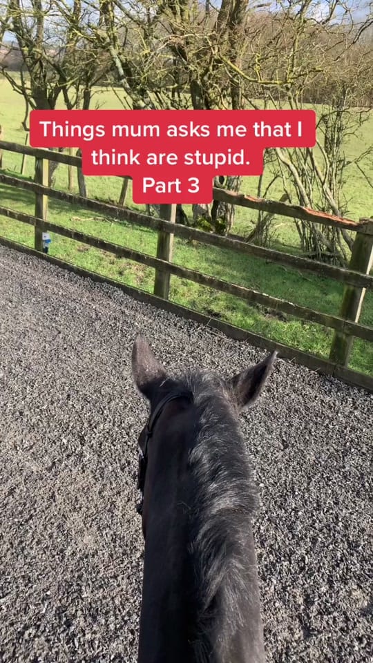 Post 9 by Georgia Devonport Eventing on TikTok (video)