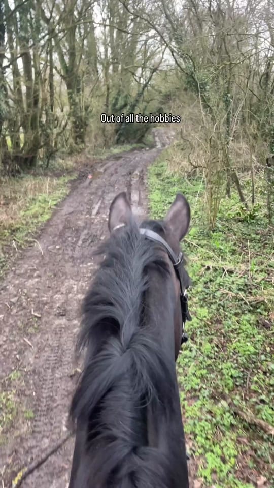 Post 3 by Georgia Devonport Eventing on TikTok (video)