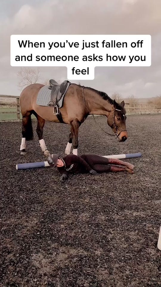 Post 10 by Georgia Devonport Eventing on TikTok (video)