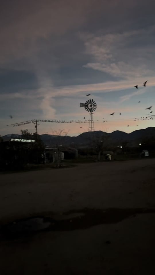 Post 2 by CasandraLynn_ on TikTok (video)