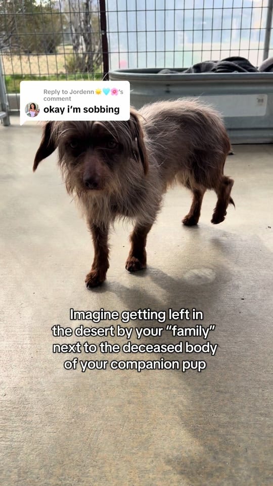 Post 3 by CasandraLynn_ on TikTok (video)