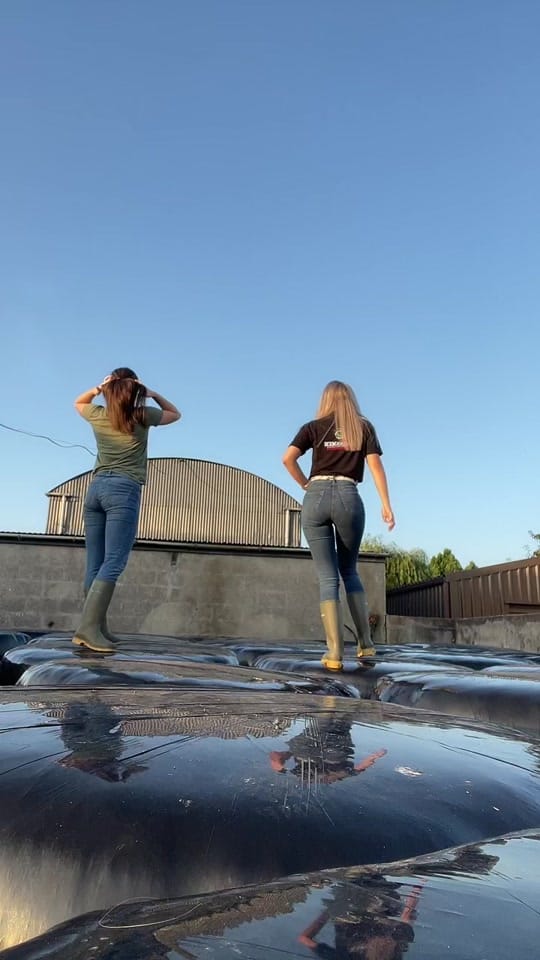 Post 8 by zoe_ni7 on TikTok (video)