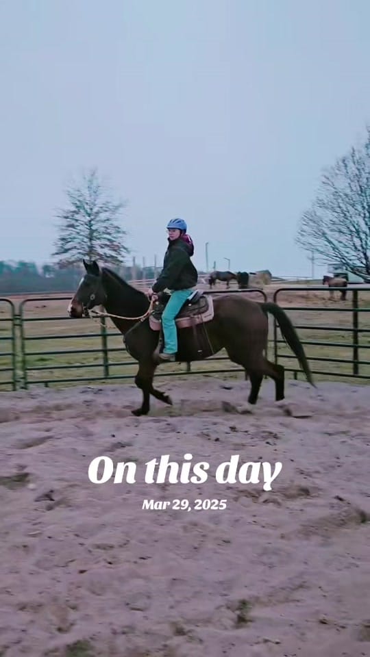 Post 2 by LicknChewHorsemanship on TikTok (video)