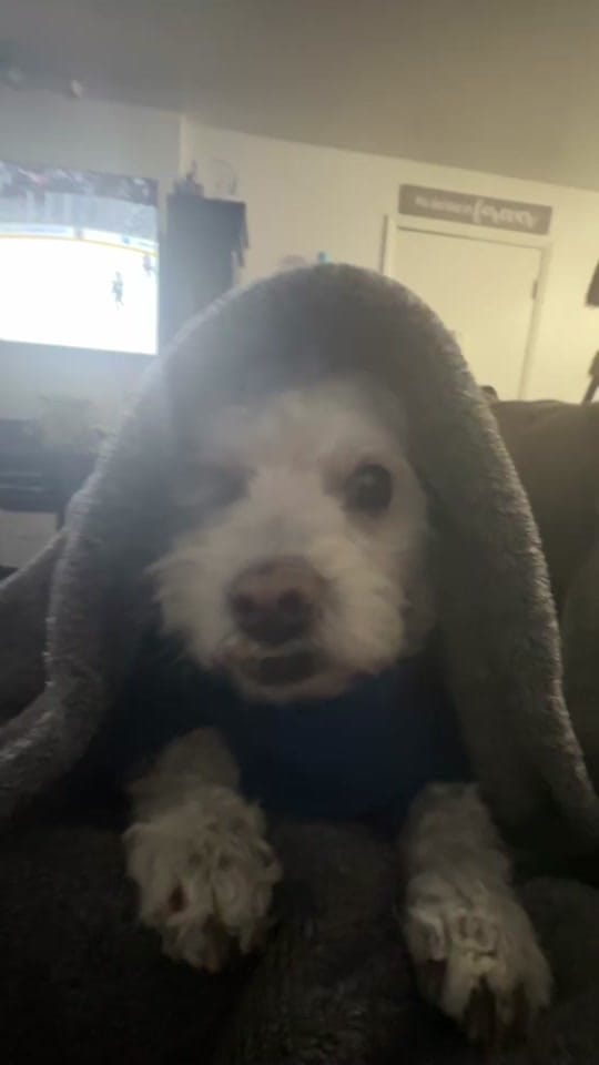 Post 2 by Aubrey Lynn on TikTok (video)