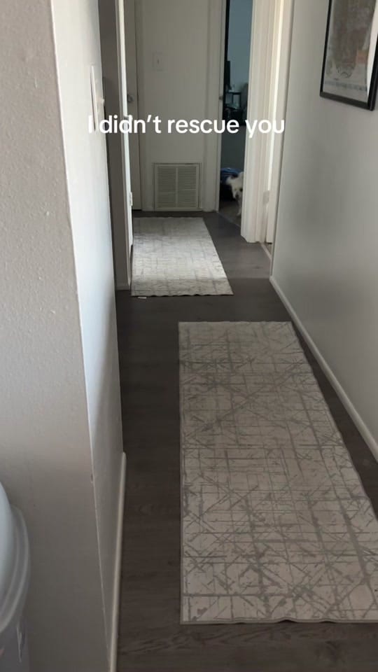 Post 4 by Aubrey Lynn on TikTok (video)