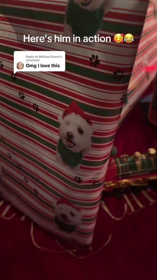 Post 6 by Aubrey Lynn on TikTok (video)