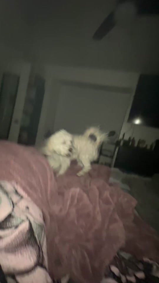 Post 9 by Aubrey Lynn on TikTok (video)