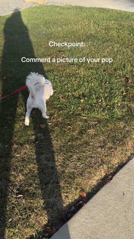 Post 3 by Aubrey Lynn on TikTok (video)