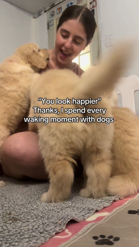 Post 3 by Levi on TikTok (video)