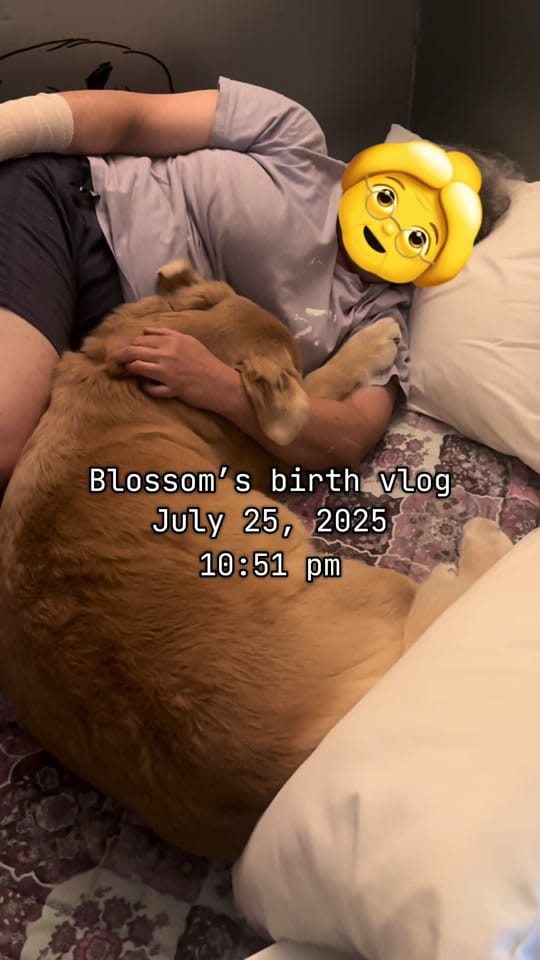Post 6 by Levi on TikTok (video)