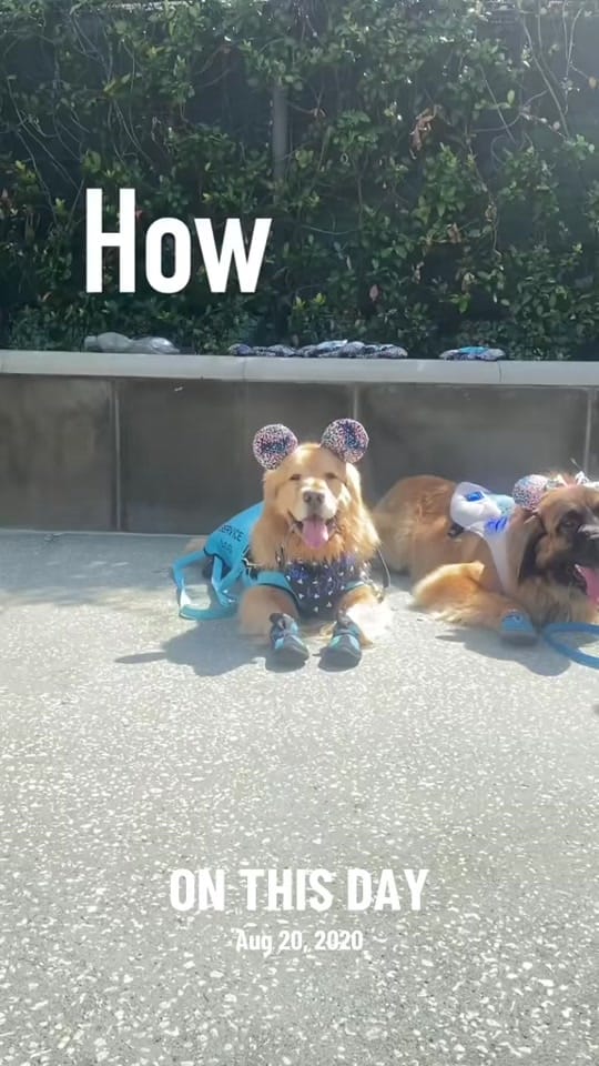 Post 7 by Levi on TikTok (video)