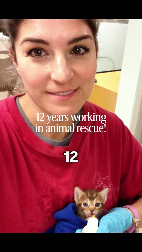 Post 6 by Samantha Bell: Cat Expert 😺 on TikTok (video)
