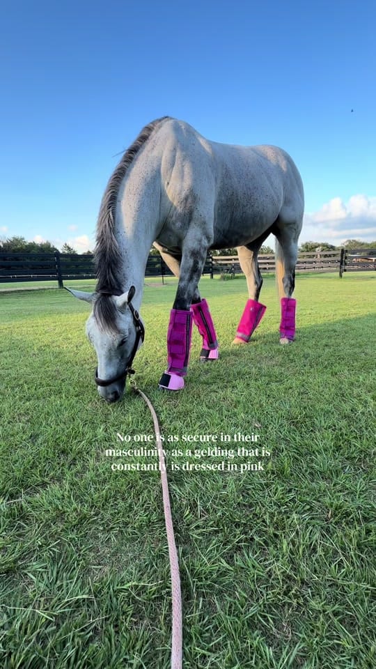 Post 4 by KIMBERLY🦄 on TikTok (video)