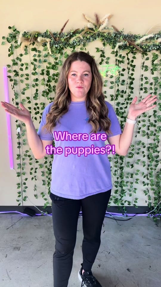 Post 4 by Heart of the Underdog on TikTok (video)