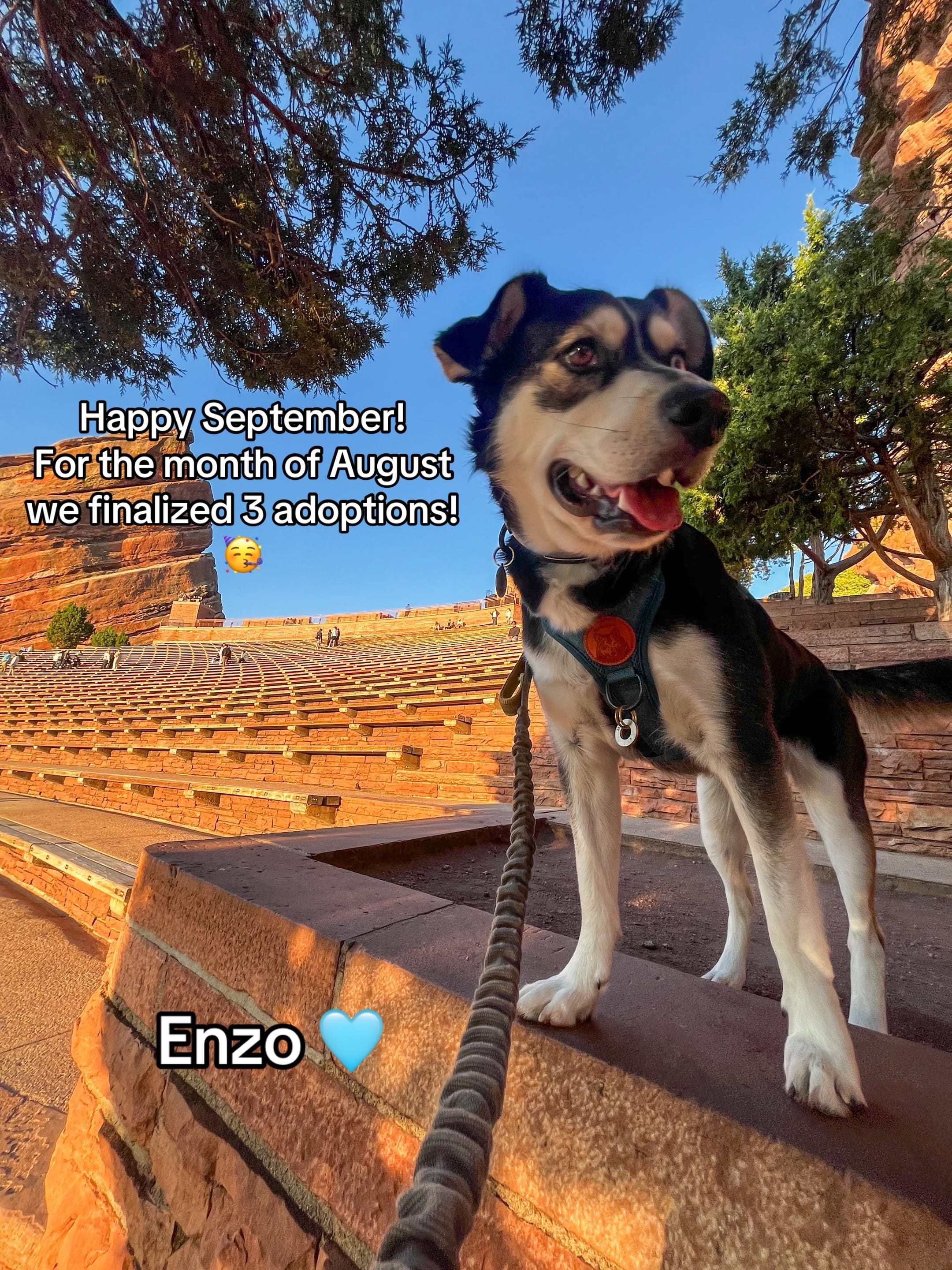 Post 8 by Heart of the Underdog on TikTok (video)