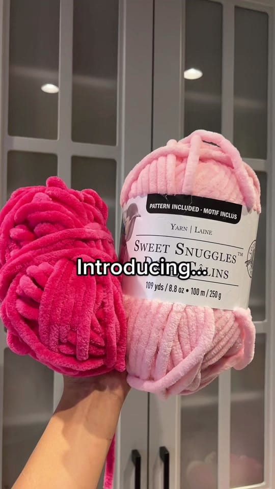 Post 7 by BriCrochets on TikTok (video)